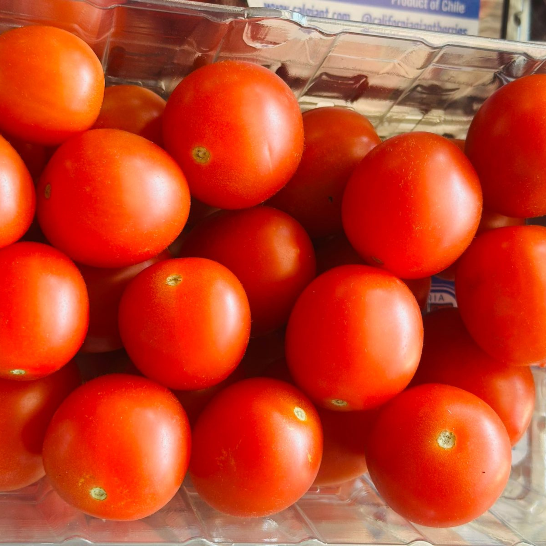 Tomate Cherry