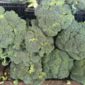 Brócoli