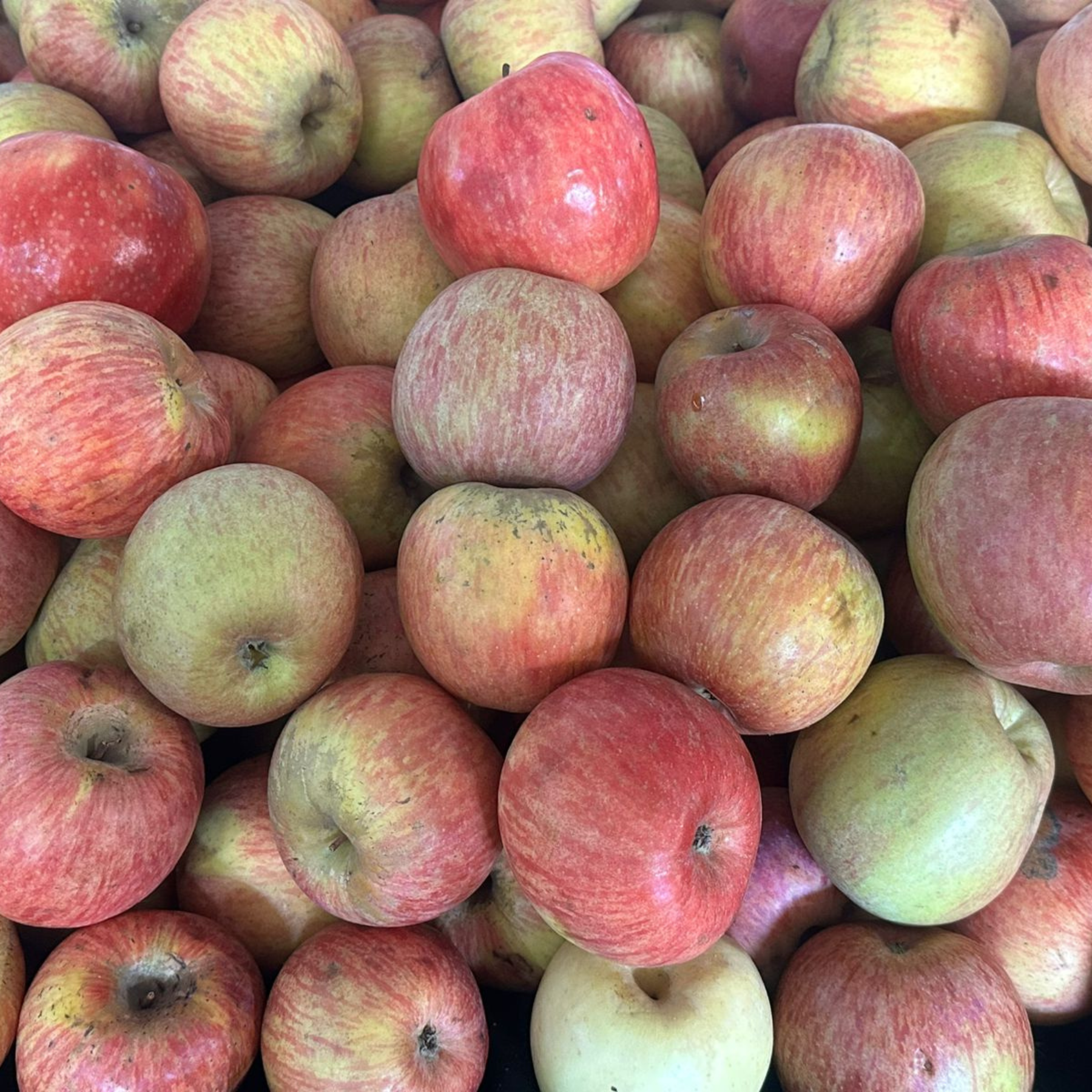 Manzanas