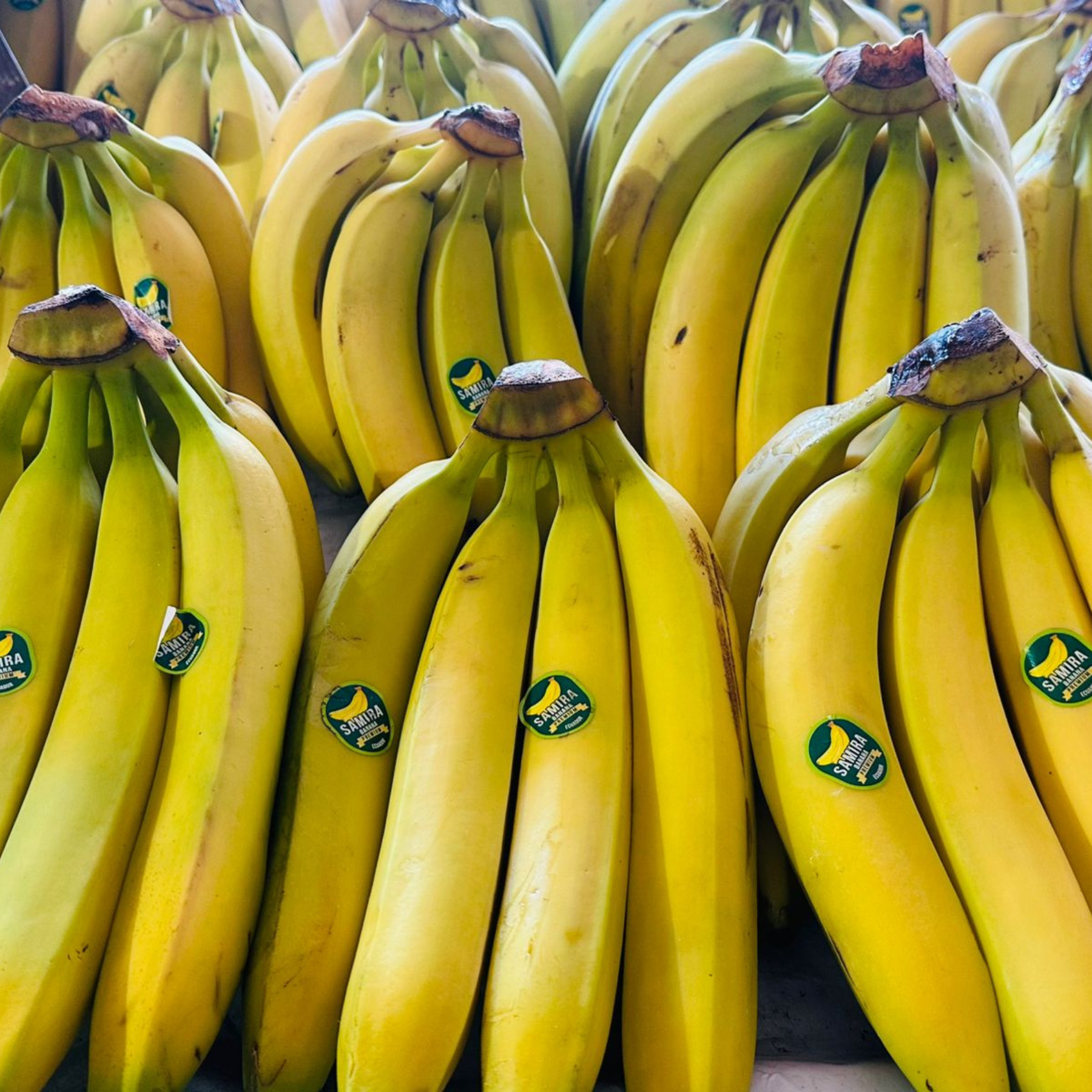 Plátano