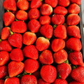 Frutillas