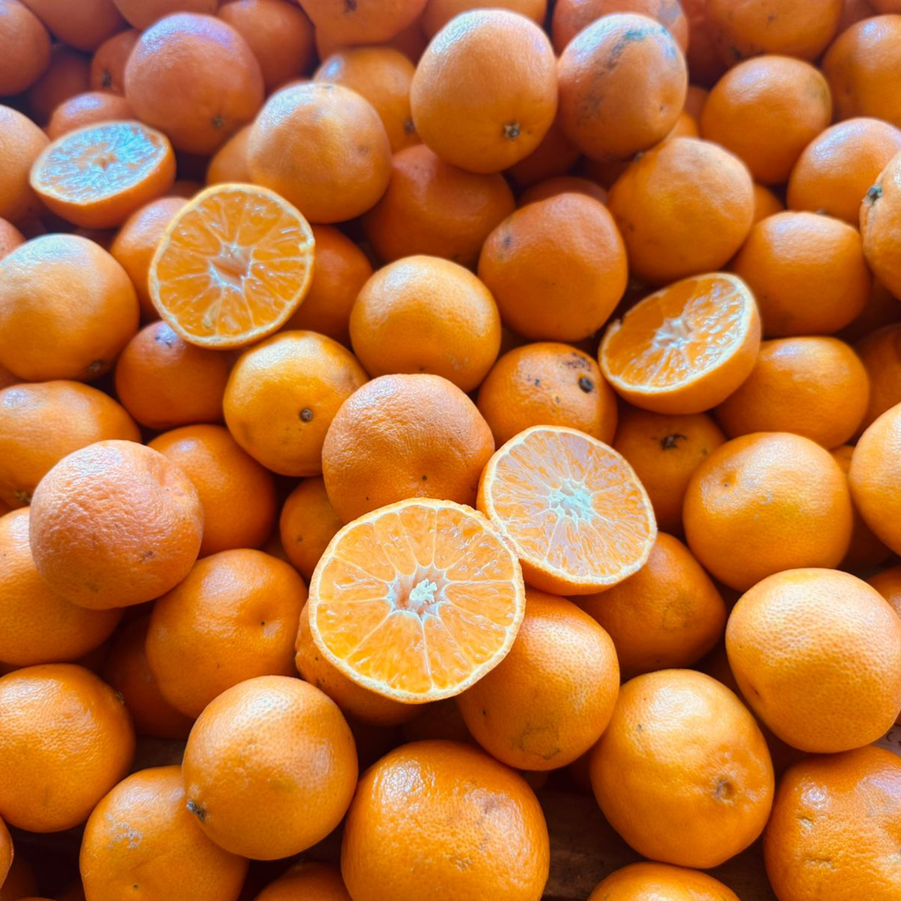 Mandarinas