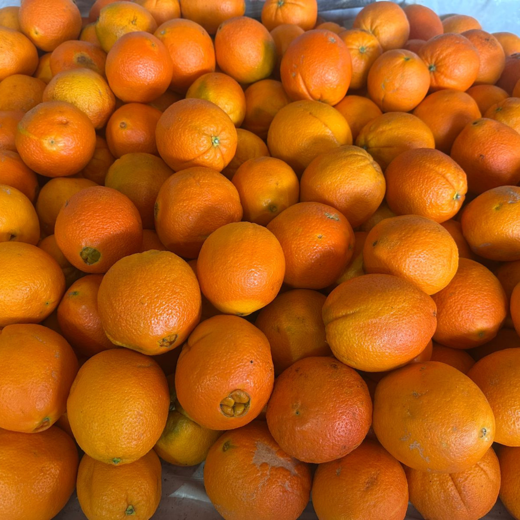 Naranjas